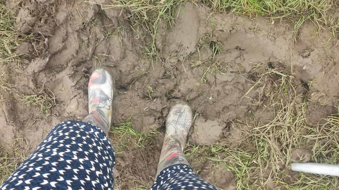 Twee woorden typeren de afgelopen editie van het festival Down The Rabbit Hole in Ewijk: muziek en modder. Dat tweede leverde een hoop mooie plaatjes op. Voor veel festivalgangers waren laarzen de redding.