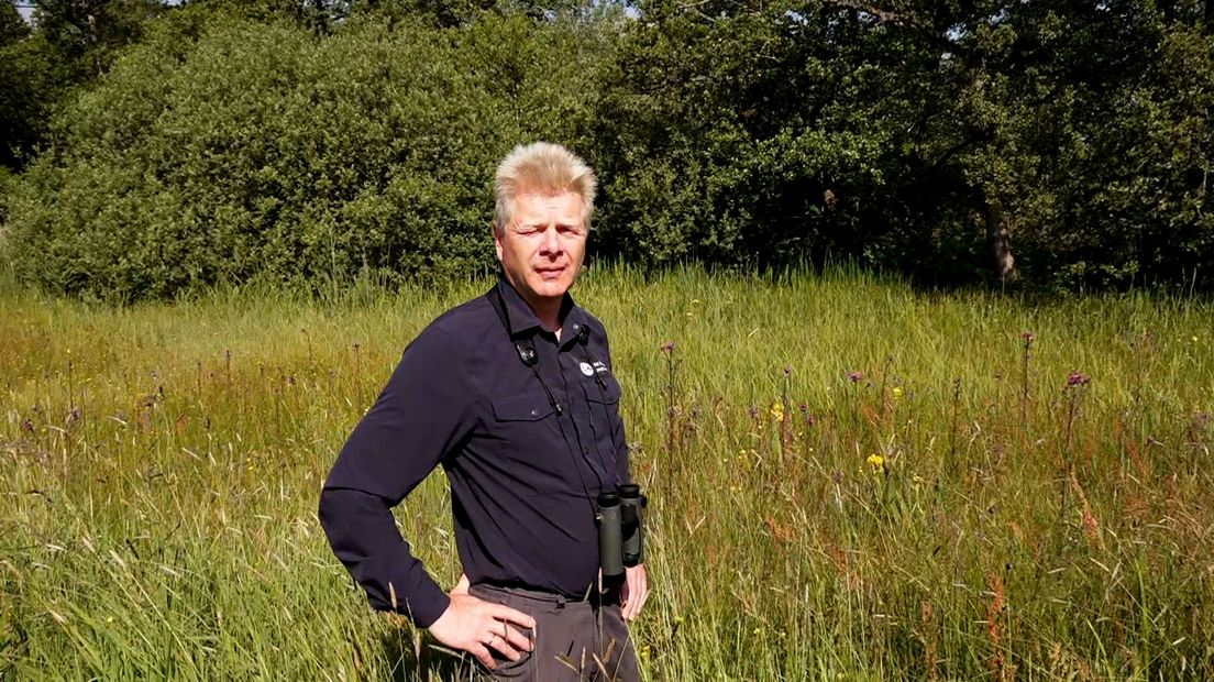 Bert Speelman
