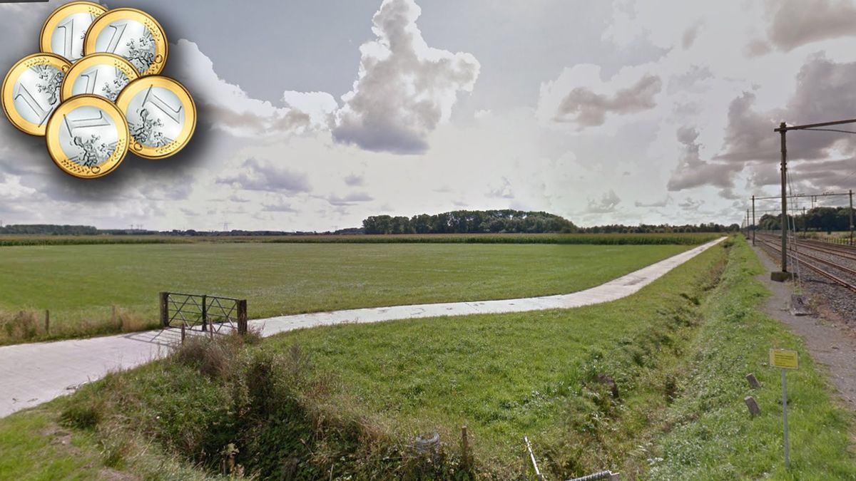 Grondaankopers jagen op Harens goud