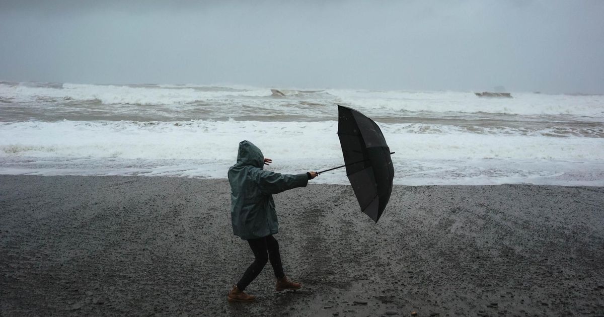 Brace yourself: autumn begins with wind storms up to 100 km per hour