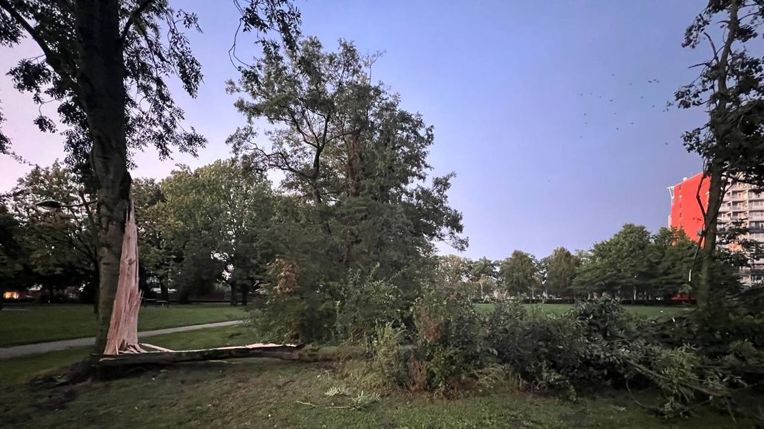 Stormschade in Almelo, vanavond