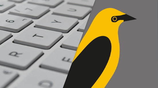 A grant of 20,000 euros to write a Frisian novel, these six writers win it