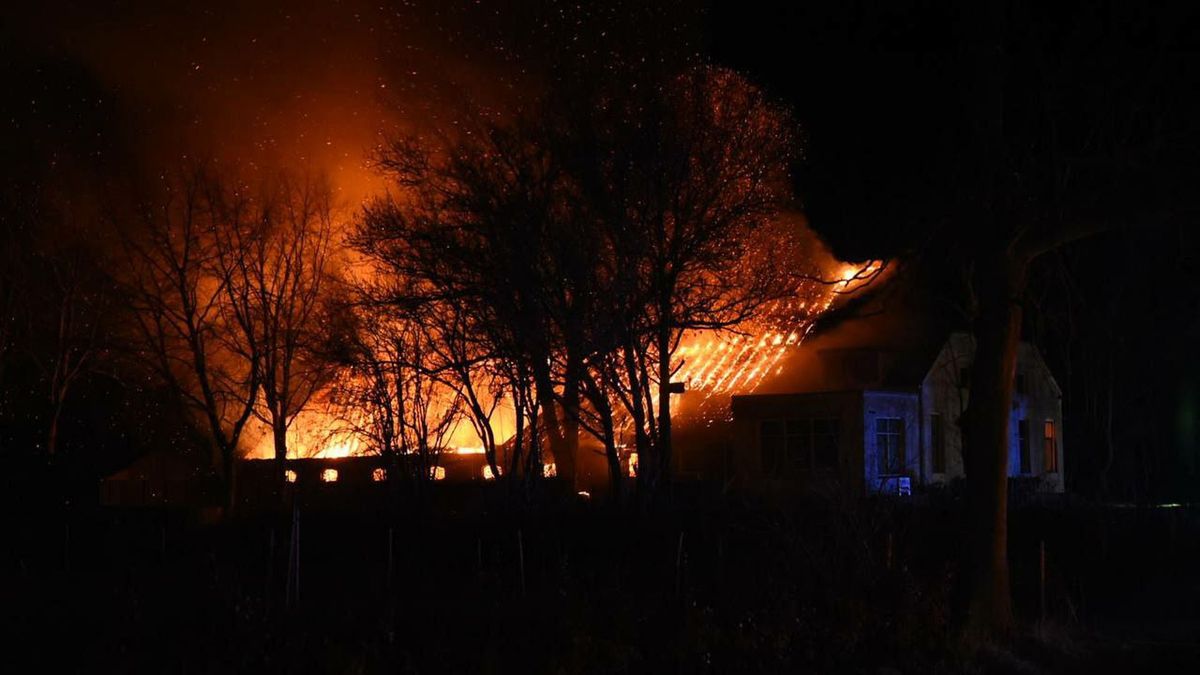 Brand verwoest woonboerderij Nieuw Beerta, paarden gered (update)