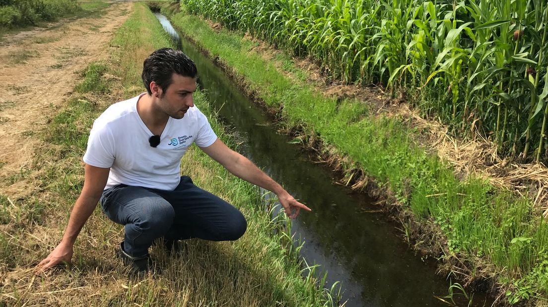 Inspecteur Zenno Hornstra laat zien hoe weinig water er nog in sloten rondom Veendijk staat  (Rechten: Serge Vinkenvleugel/RTV Drenthe)