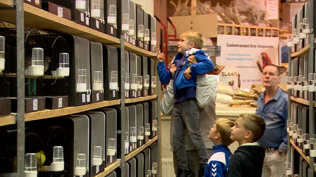 Matthieu (6) en Laurens (9) lopen graag op de vogeltentoonstelling in IJzendijke rond