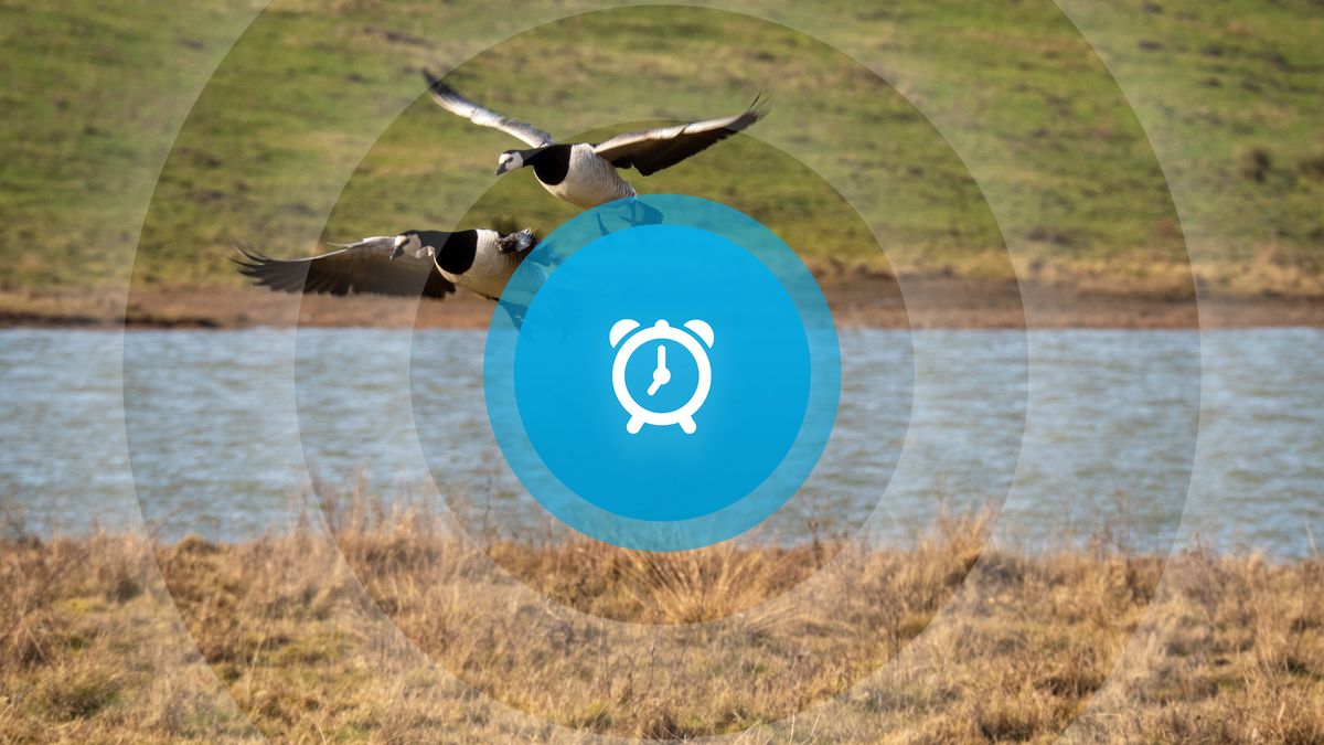 Goedemorgen! Uitspraak overval, kledingswap en Zeeuwse staatssecretaris op gesprek bij Rob Jetten