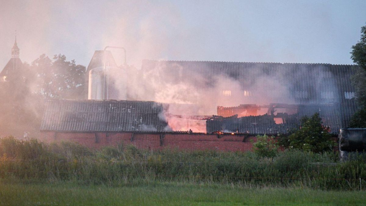 Blaffende hond alarmeert bewoners voor brand in boerenschuur Toornwerd