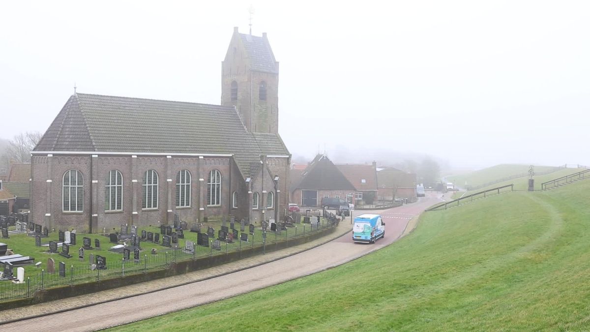 Levende dolfijn aangespoeld op het wad bij Wierum