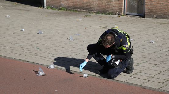 Muizen in plastic zakjes gestopt en op straat gedumpt, sommigen leefden nog Home