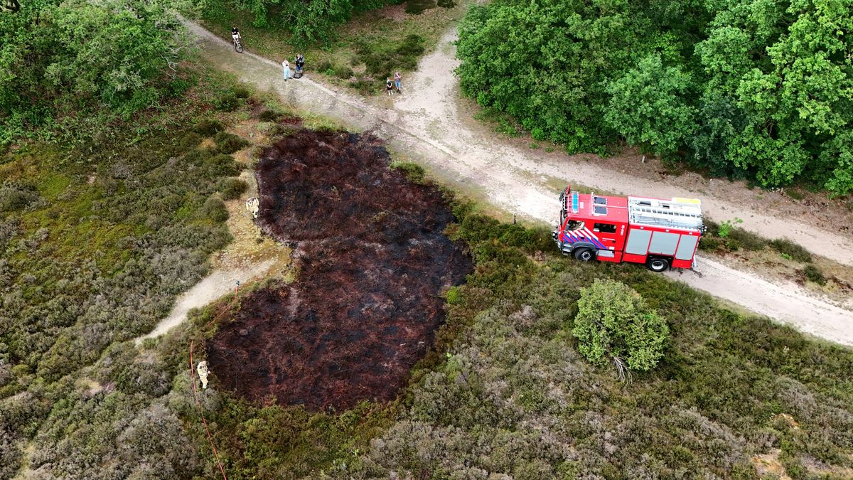 Natuurbrand Terhorsterzand bij Beilen, aanwijzingen van brandstichting