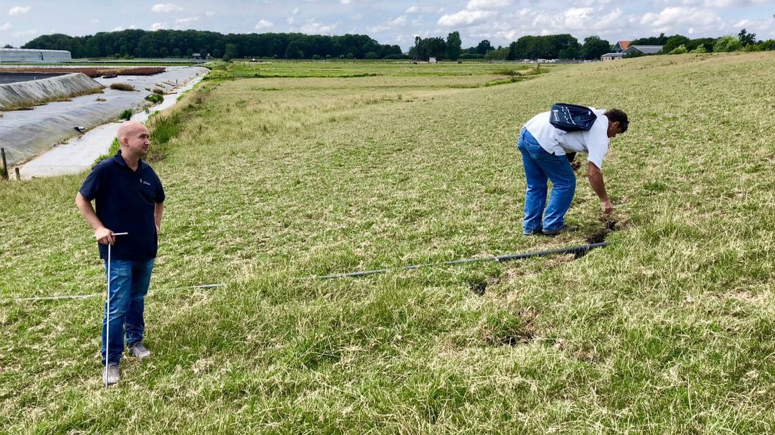 Medewerkers van het Hoogheemraadschap doen onderzoek