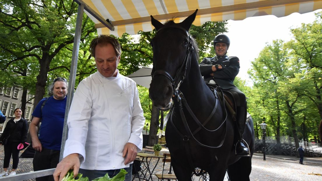 Paardenlunch op het Lange Voorhout