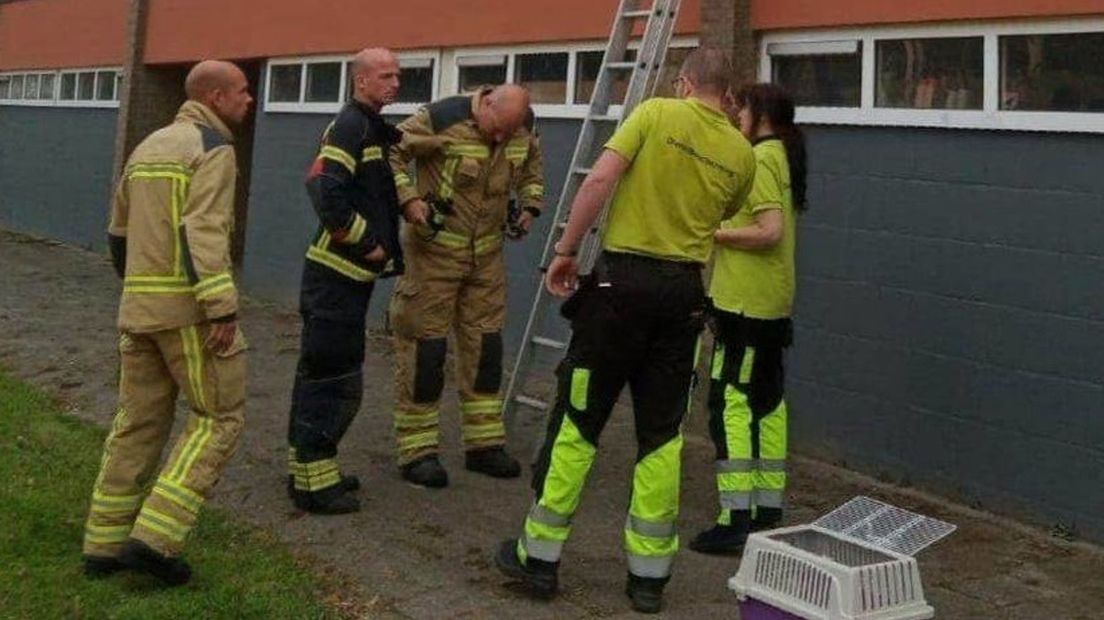 De brandweer kwam er aan te pas het dier te bevrijden (Rechten: Dierenbescherming)