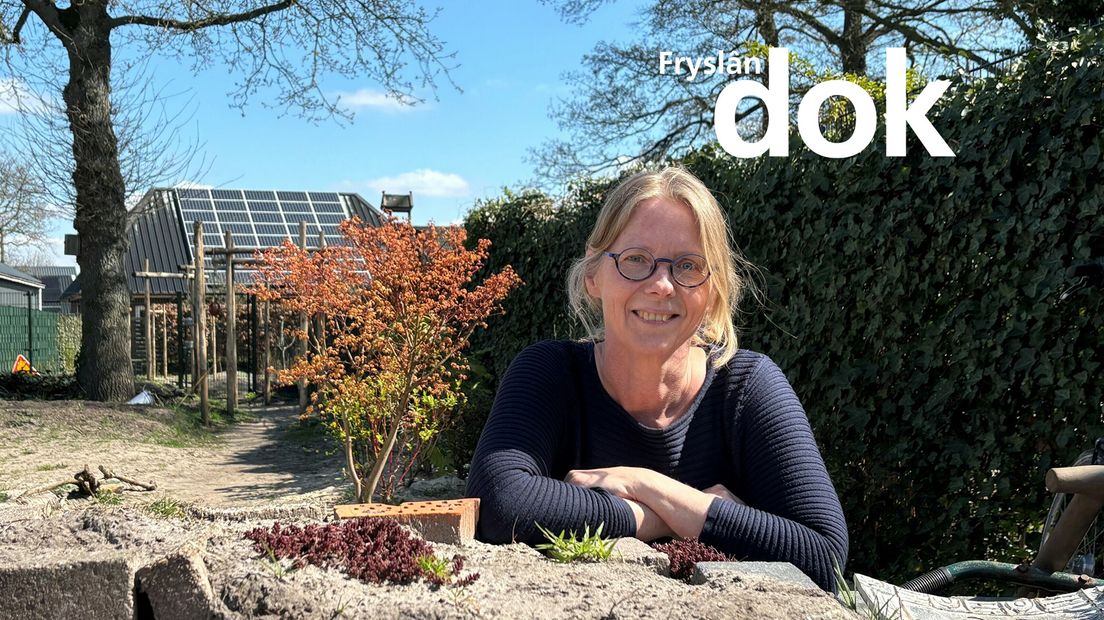 Hoe maak je een ecokathedraal in eigen tuin?