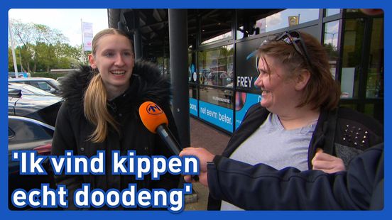 Agressieve zwaan terug: voor welk dier ben jij bang?