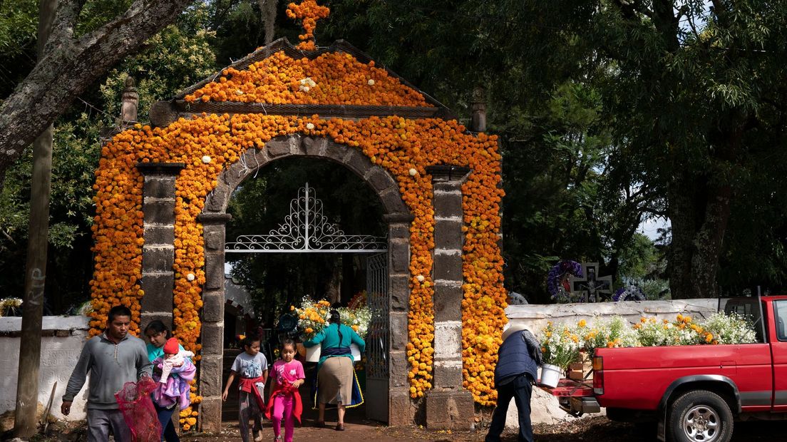 Viering van de Dag van de Doden, Dia de los Muertos in Delia, Mexico (beeldverhaal Gerlinde Schrijver)