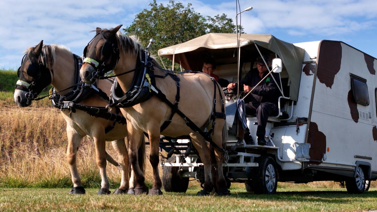 Toon en Carina reizen met paarden en caravan: 'Je moet geen haast hebben'