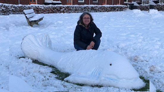 Kunstenaar maakt meterslange sneeuwwalvis