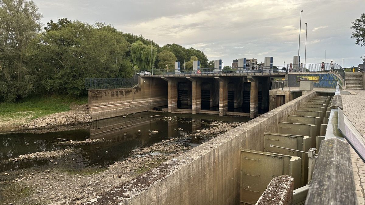 Sluiswachter hoopt op regen in Duitsland: 'Anders moeten we alternatieven inzetten'