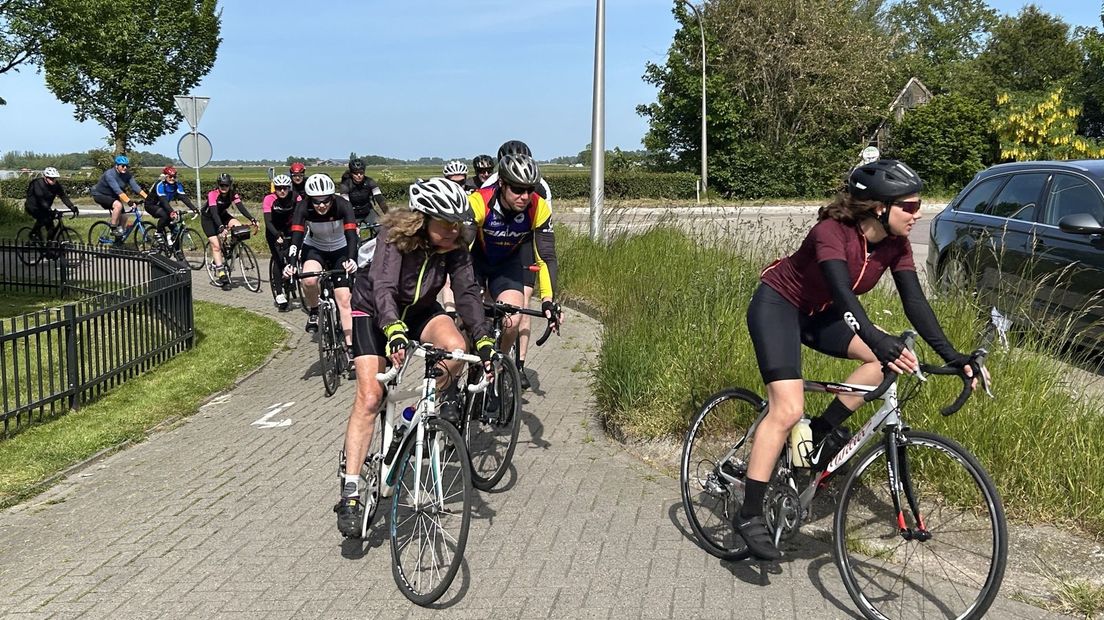 Mei de wyn yn de rêch troch De Hommerts