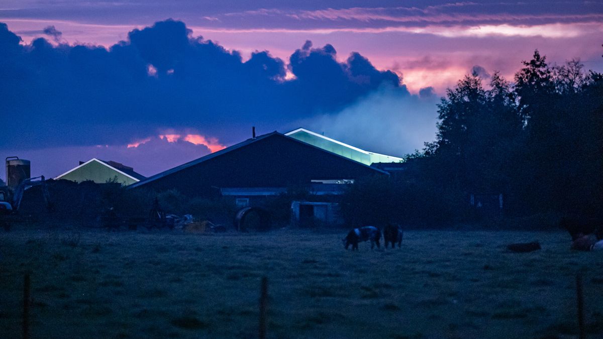 Stalbrand in Surhuizum onder controle