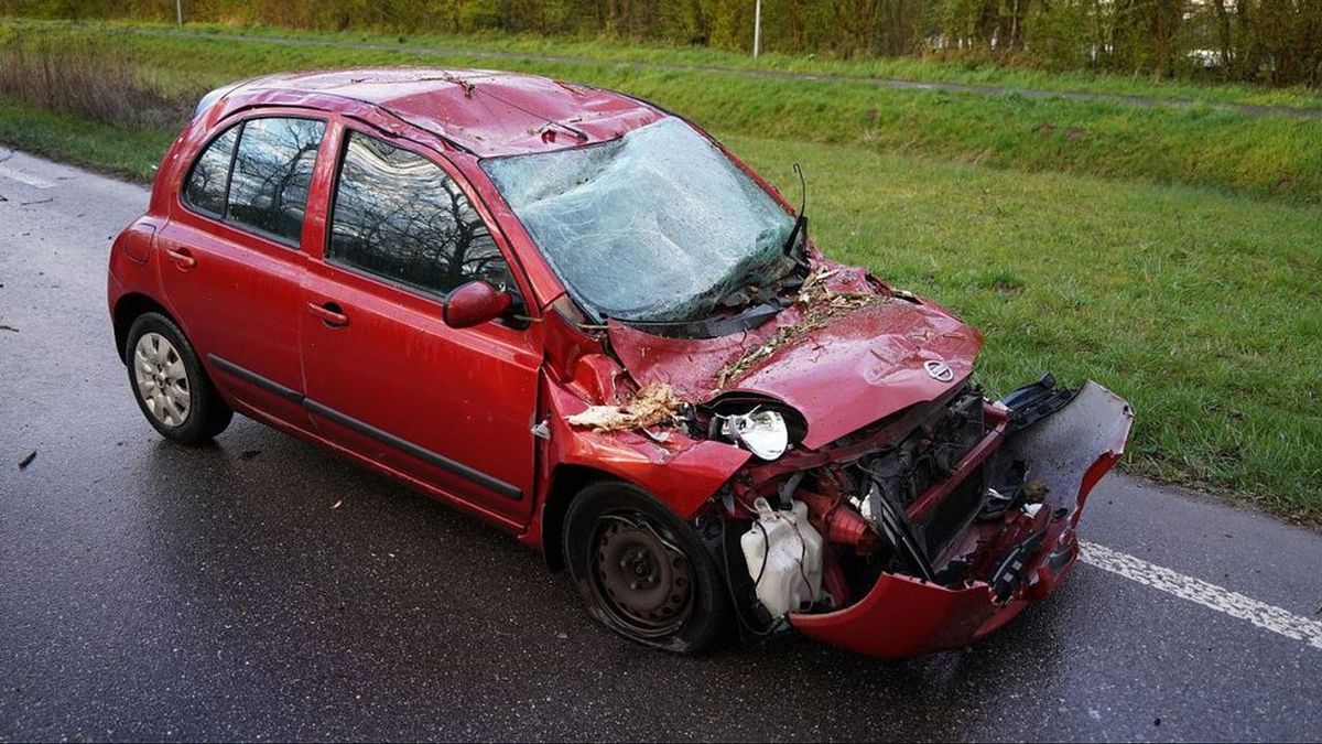 Boom valt op auto van Rianne: 'Alles werd donker'