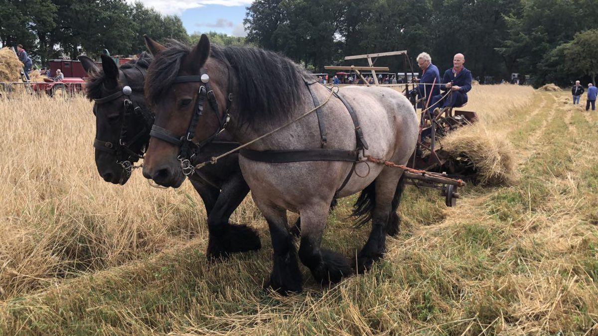 Wat is er dit weekend te doen in Drenthe?