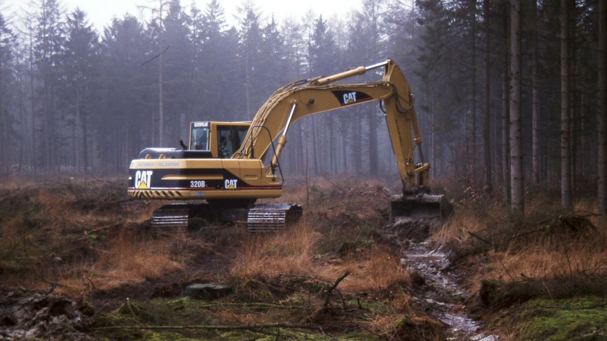Sloten en greppels dicht, Dwingelderveld wordt natter gemaakt