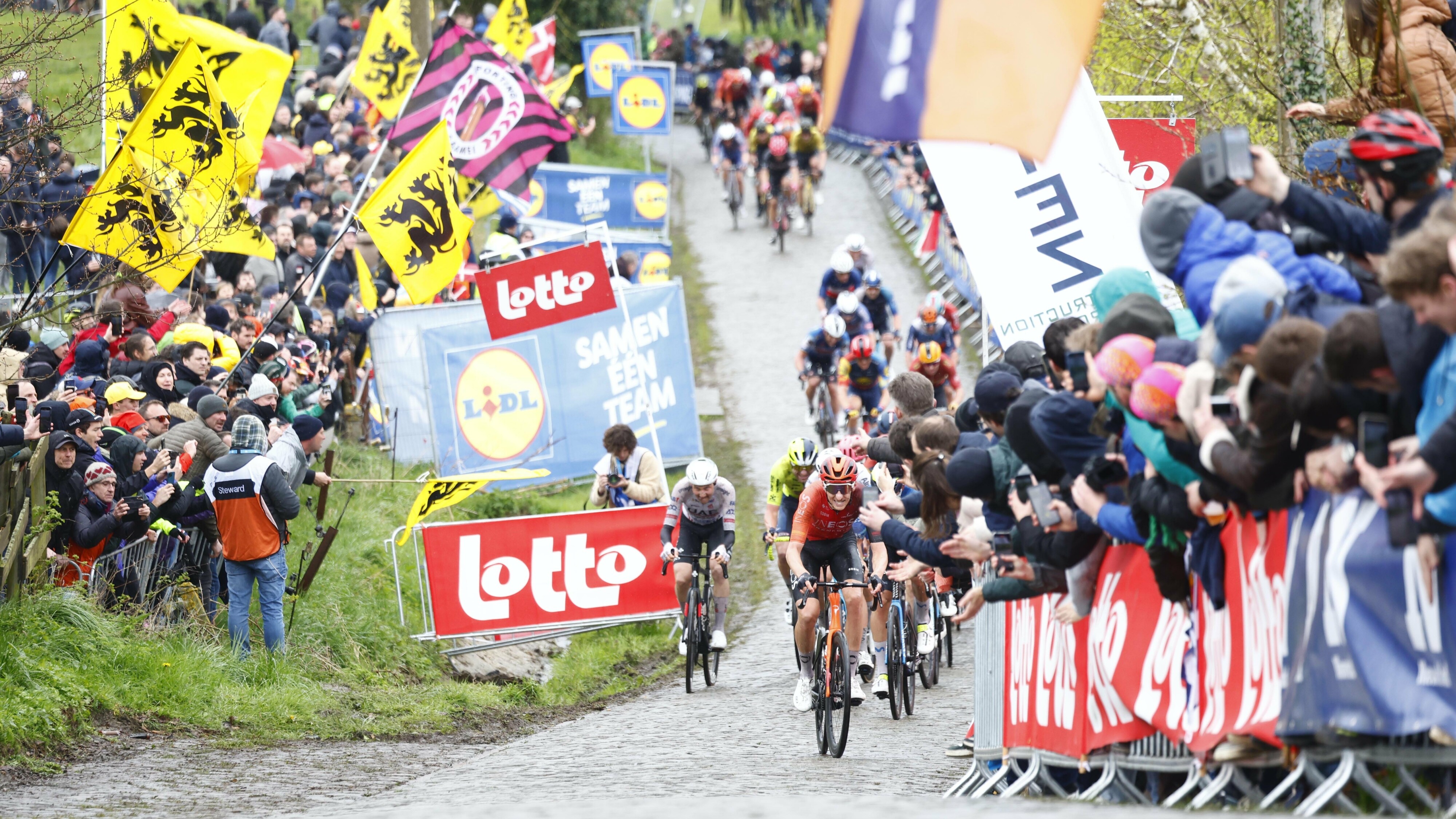 In byld út de Ronde van Vlaanderen fan ferline jier, in koers dy't bot libbet by it publyk