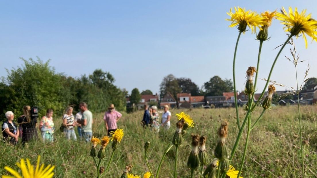Vlindertuin in Overzande geopend.