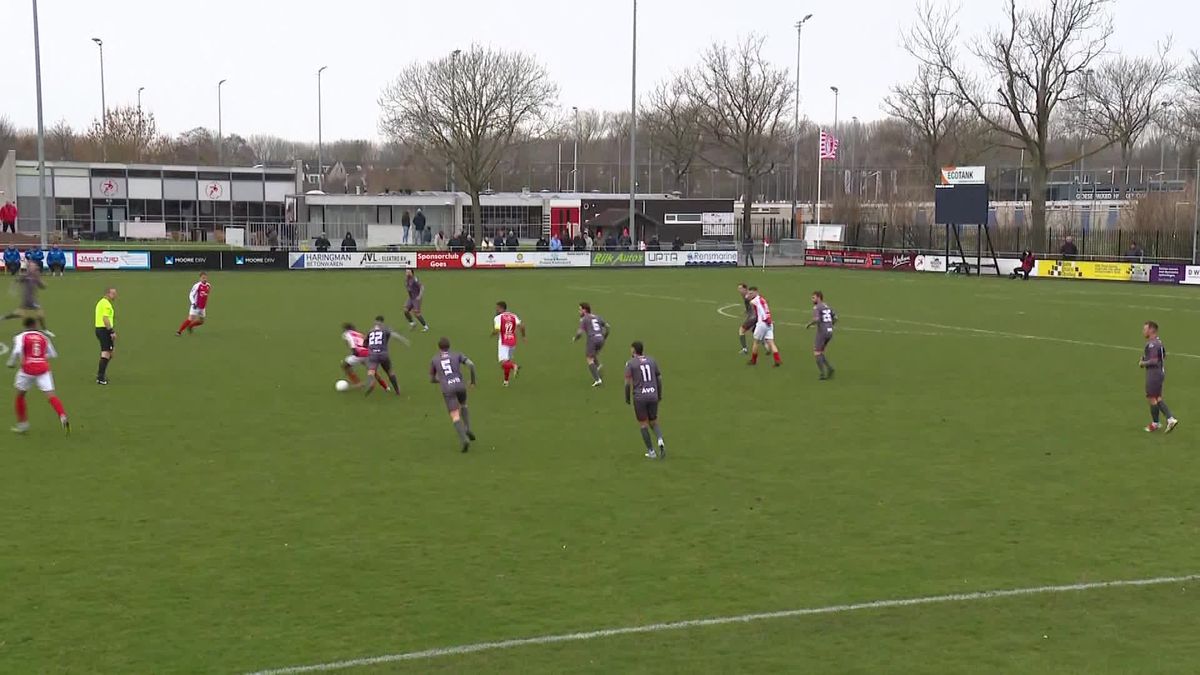 Samenvatting GOES - Rijnvogels