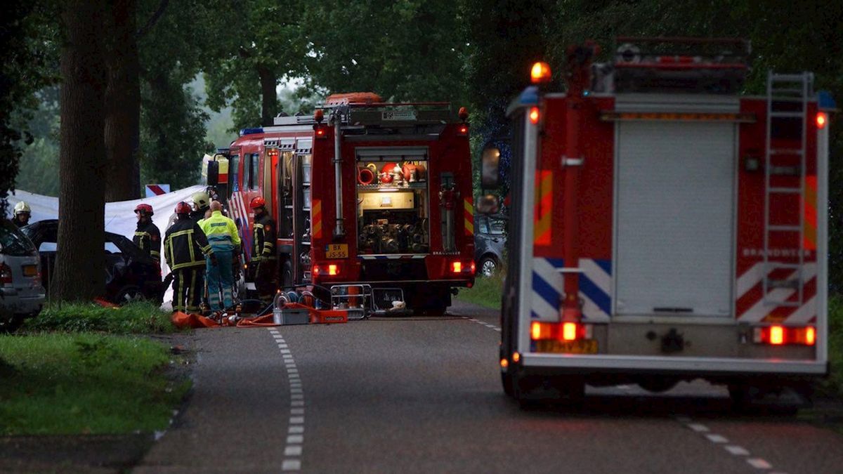Man met spoed naar ziekenhuis na botsing met boom tussen Rietmolen en Sint Isidorushoeve