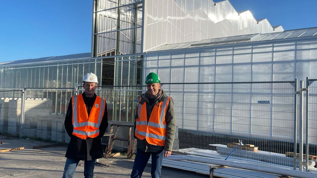 De hoge corridor van 14 meter maakt de kas extra bijzonder