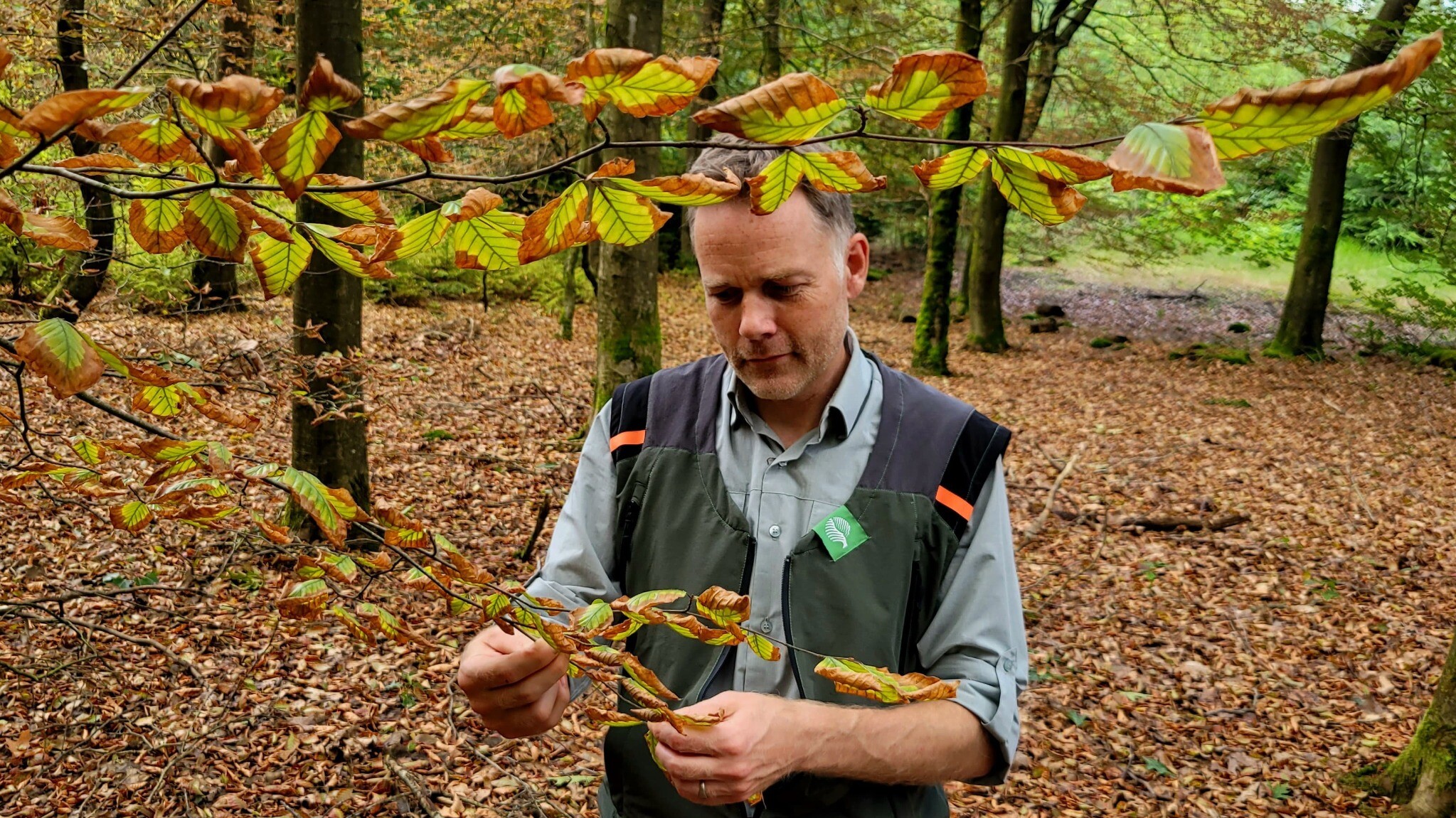 Lysander van Oossanen yn it Drents-Friese Wold