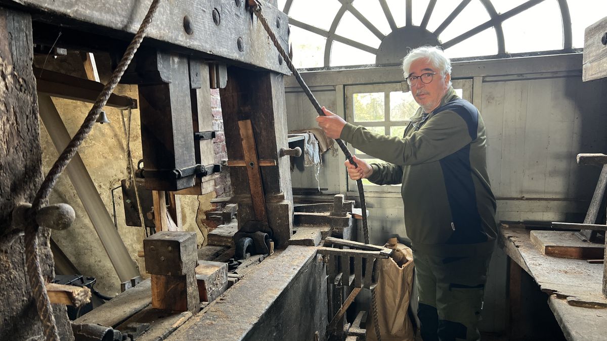 Olieslaan op Nederlandse erfgoedlijst: 'Blijdschap, maar ook werk aan de winkel'