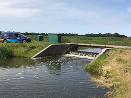 Raakt de paling de weg kwijt als Drenthe vanwege droogte water krijgt aangevoerd?