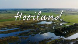 Hooiland (deel 2)