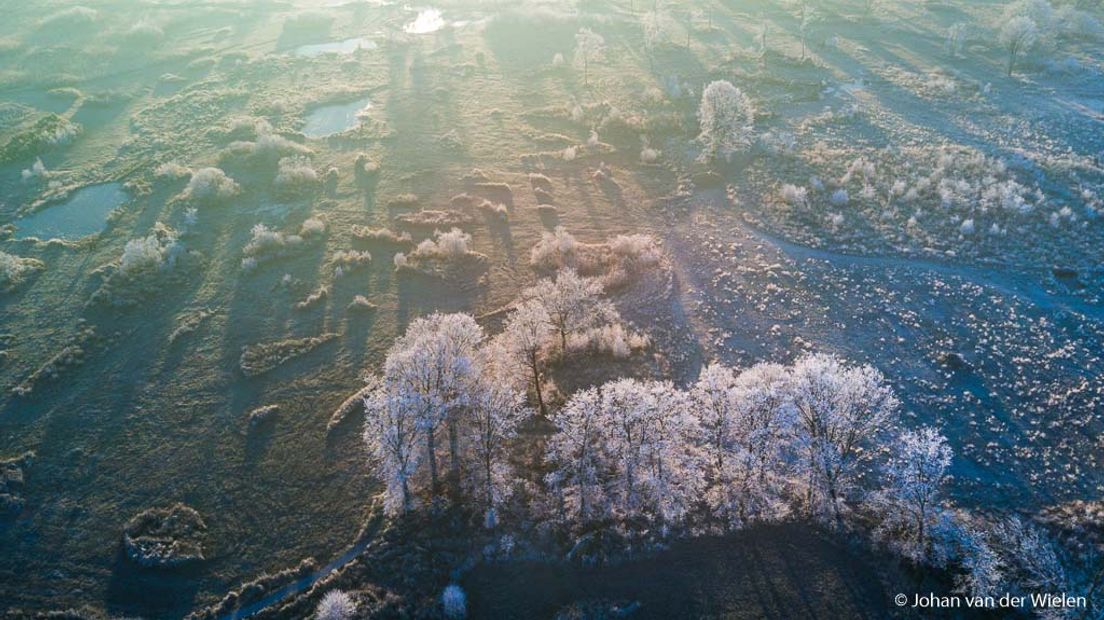 Terwijl inmiddels de eerste sneeuw van 2017 is gevallen en ik om mij heen kijk naar een betoverende witte wereld denk ik weer terug aan de twee magische momenten die ik eind 2016 heb ervaren op de Empese en Tondense heide.