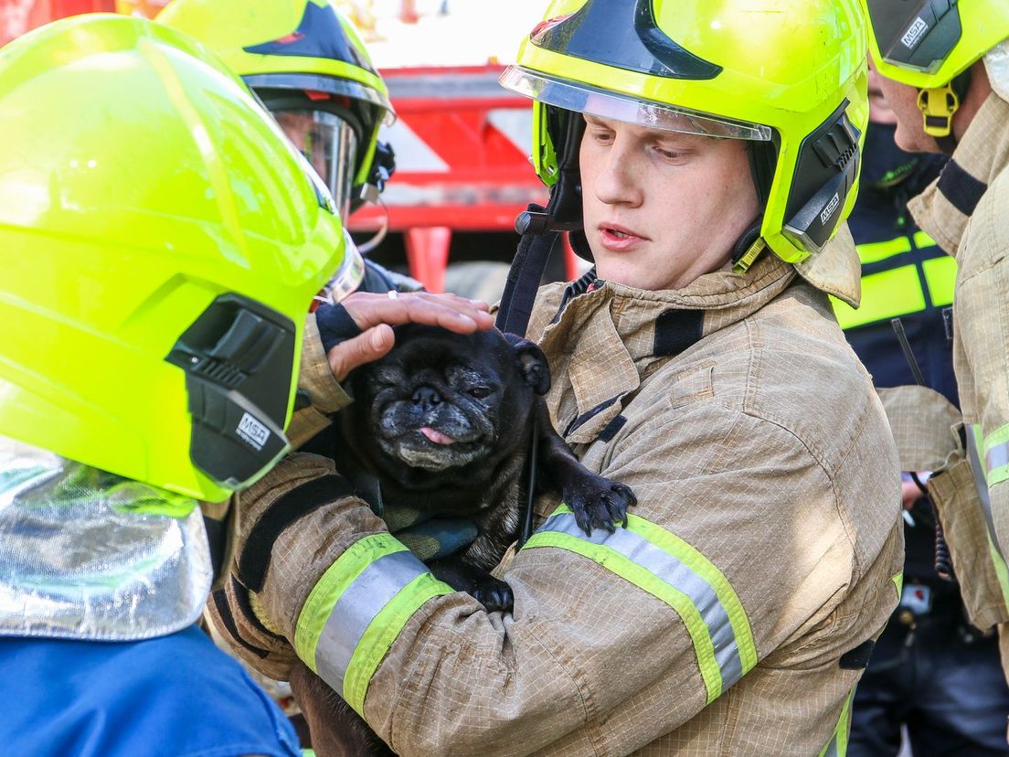 Meerdere mensen in de val bij brand in Schiedam