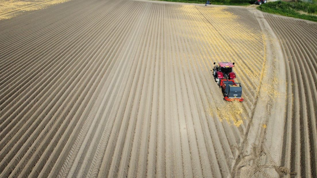 Aardappelteler Hilko Bos verspreidt stro over zijn land