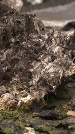 Medicijnen verhogen watertaks