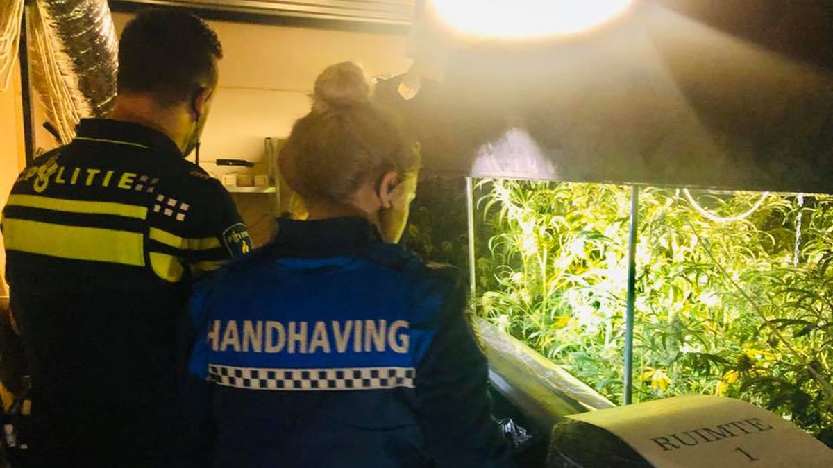Aanhouding bij inval wietplantage in Nieuwersluis