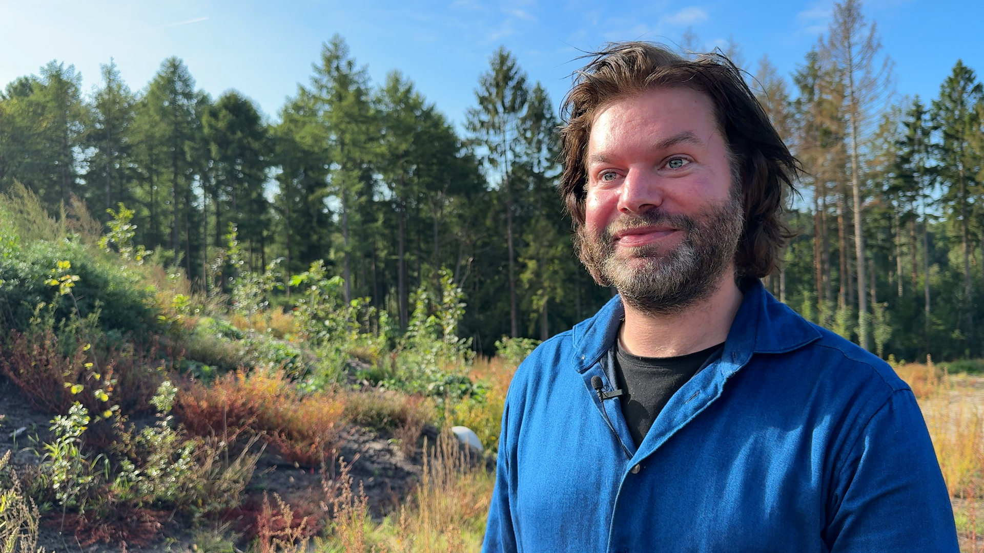 Natuurbrug voor wilde dieren bij Maarsbergen, 
