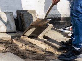 Het wipseizoen is weer geopend: in 14 Utrechtse gemeenten worden stenen tuinen vergroend