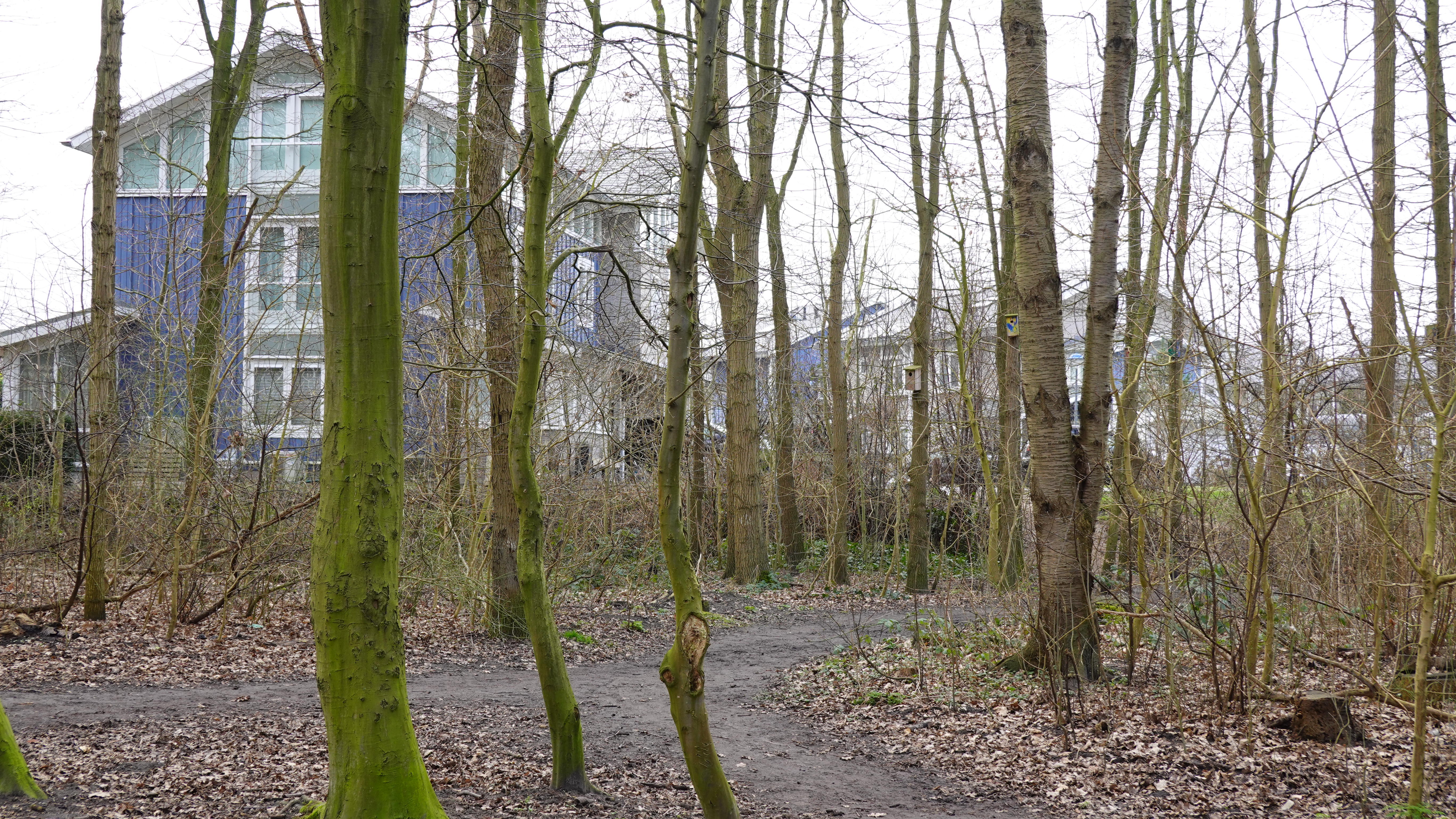 Het 13-jarige slachtoffer weet nog een woning te bereiken om hulp te vragen