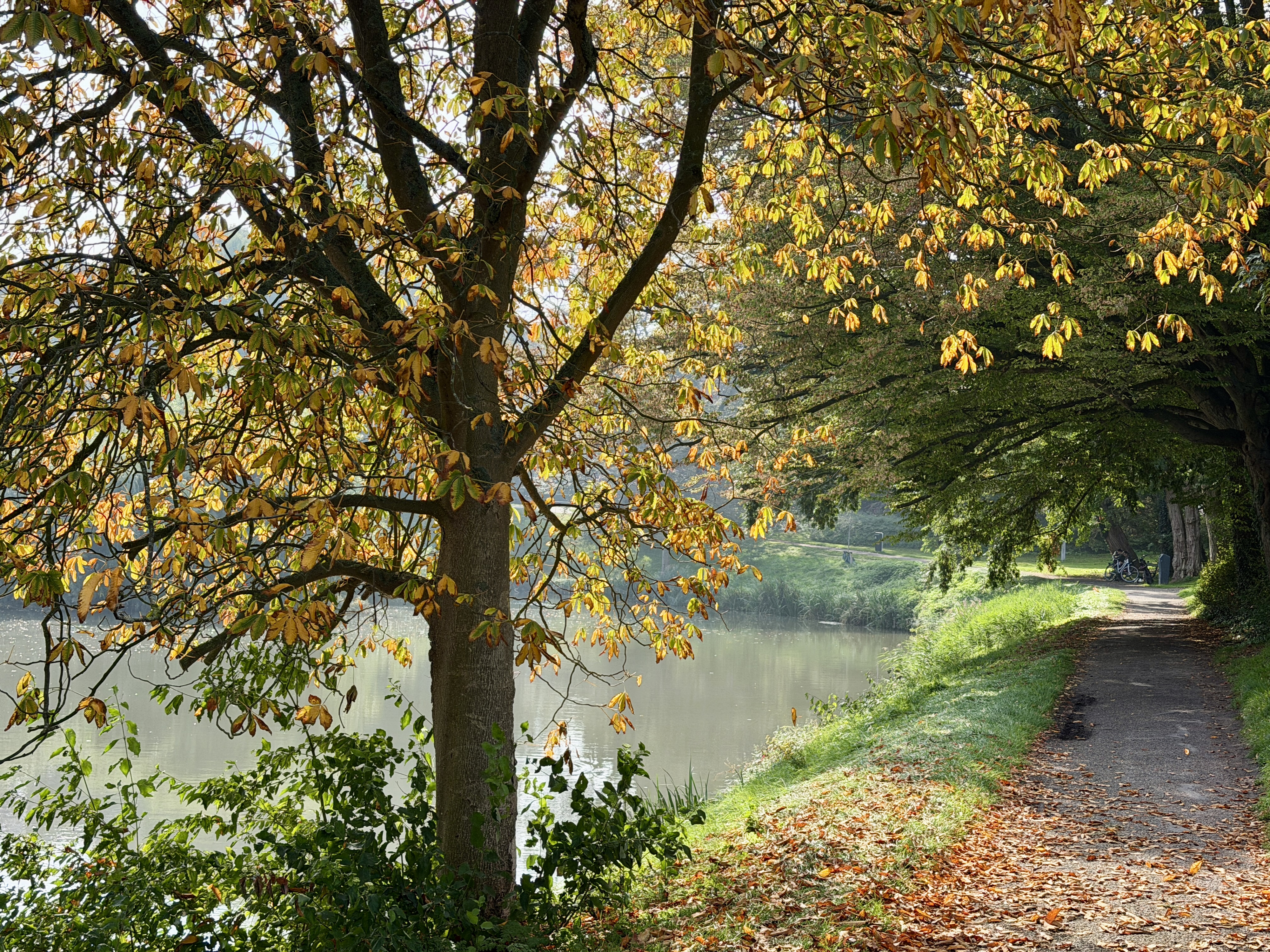 Mooie septemberdag in Goes