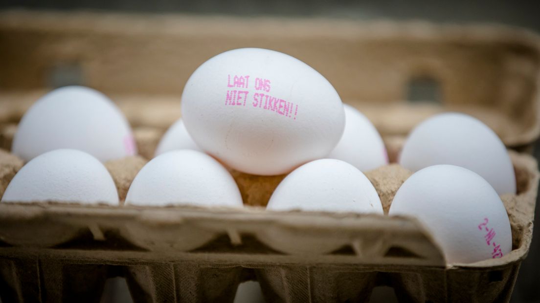 ChickFriend is aansprakelijk voor het gebruik van fipronil door pluimveehouders. Het bedrijf uit Barneveld moet daarom schadevergoedingen betalen aan de getroffen kippenboeren, zo oordeelt de rechtbank in Arnhem woensdag.