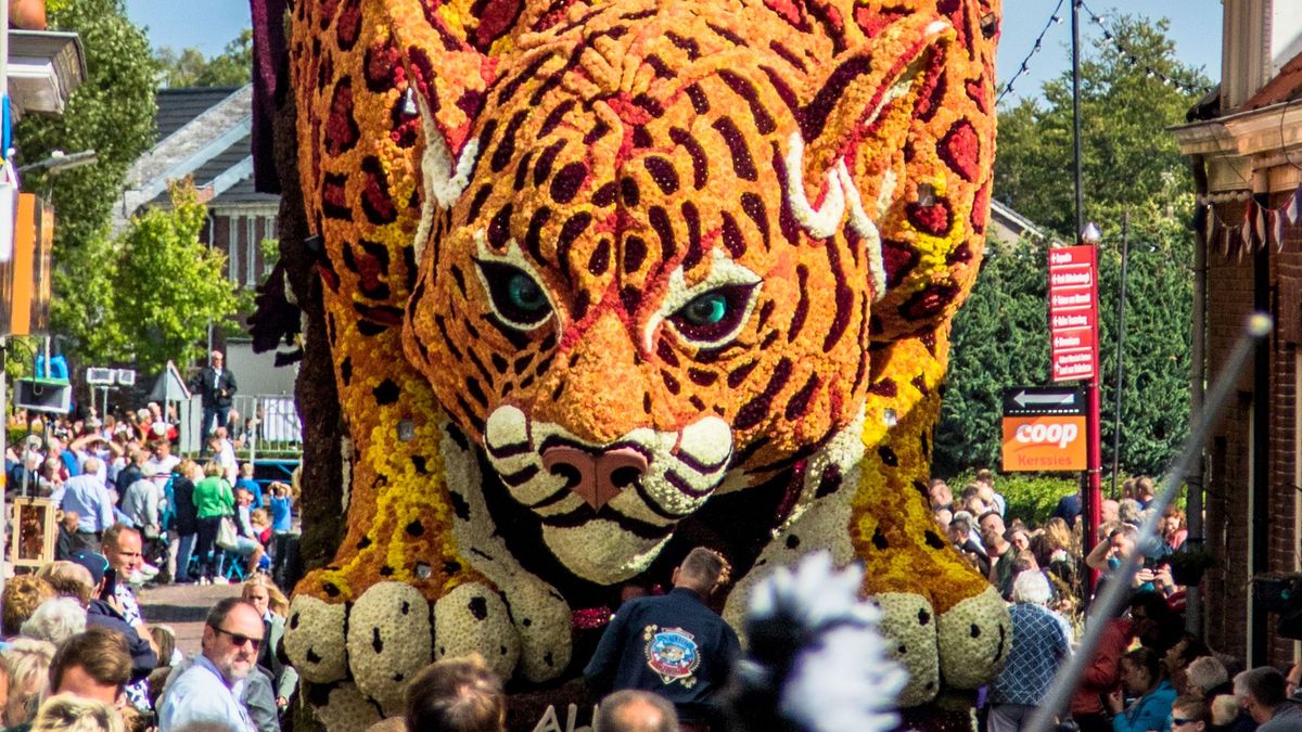 Belangrijke dag voor bloemencorso’s en gondelvaarten: worden ze Unesco-erfgoed?