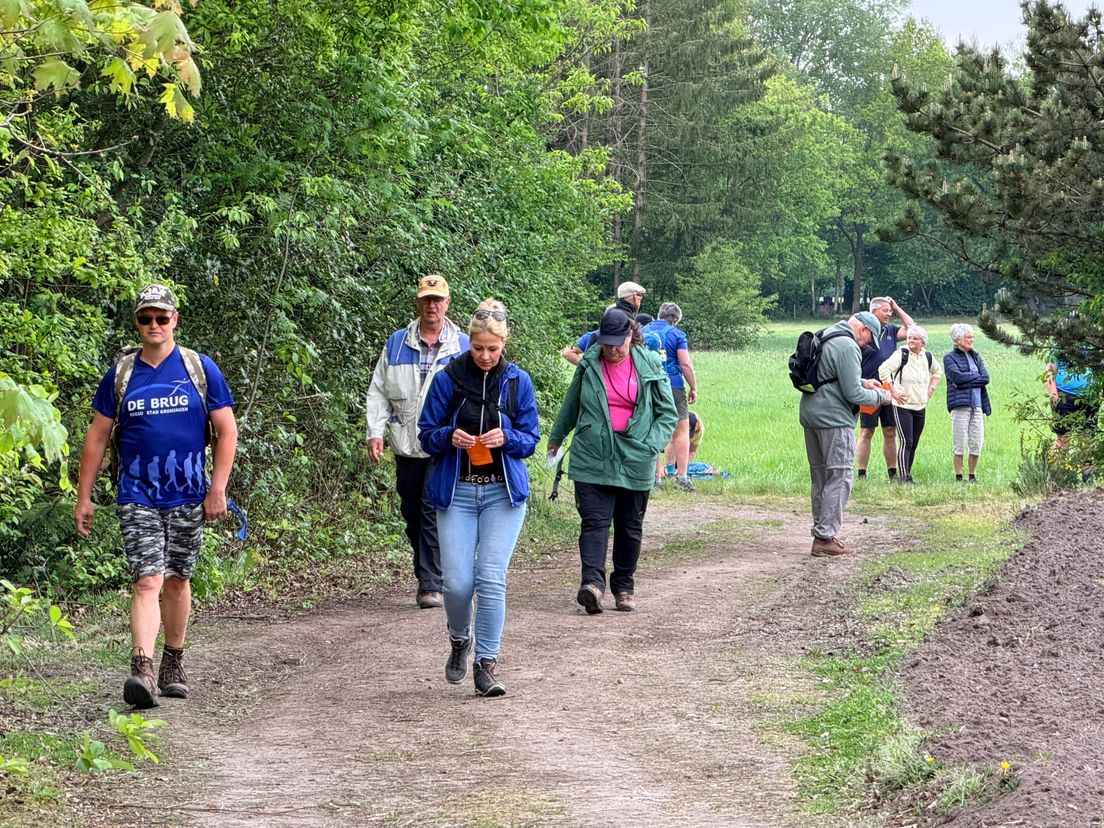 Kijk live: Noordelijke omroepen zamelen samen geld in bij Drie Provinciën Wandeltocht