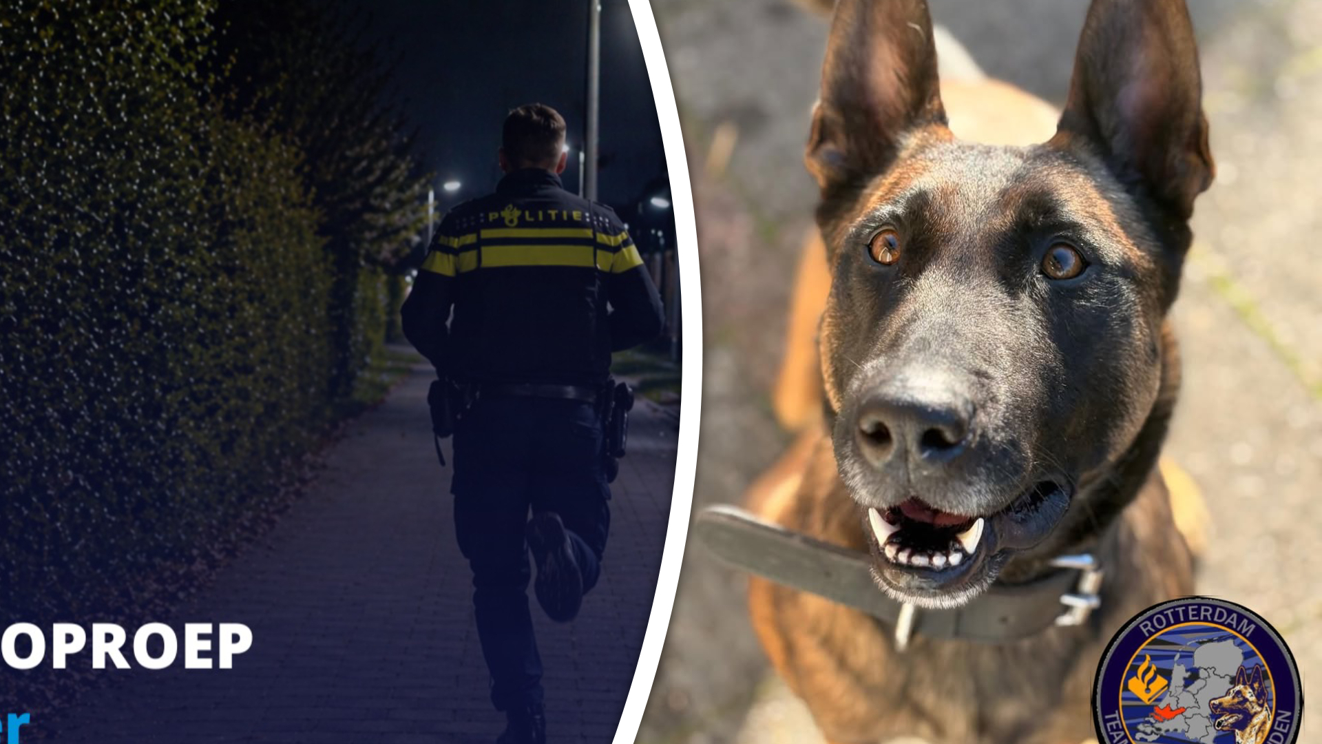 Twee van de vier verdachten konden, met hulp van politiehond Hebbes, worden aangehouden.